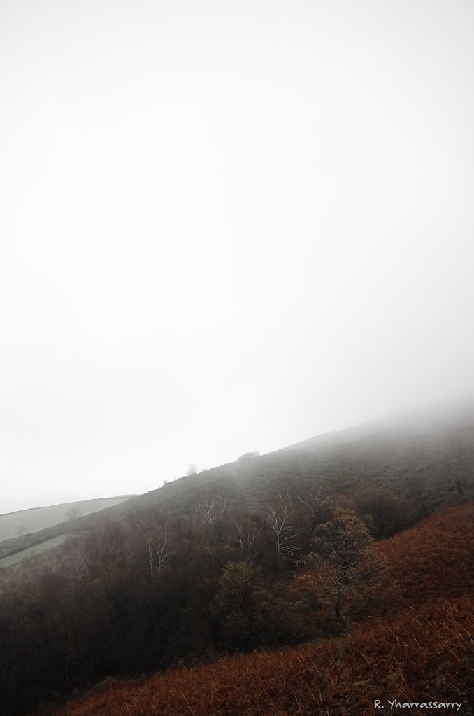 L1010049.jpg