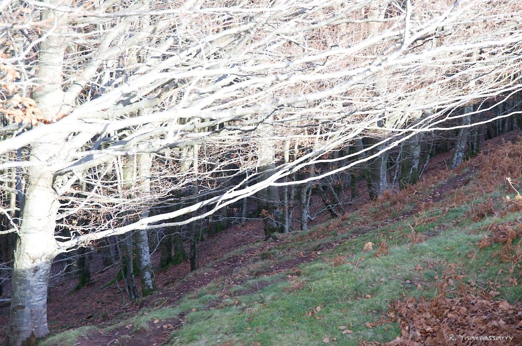 L1010048.jpg