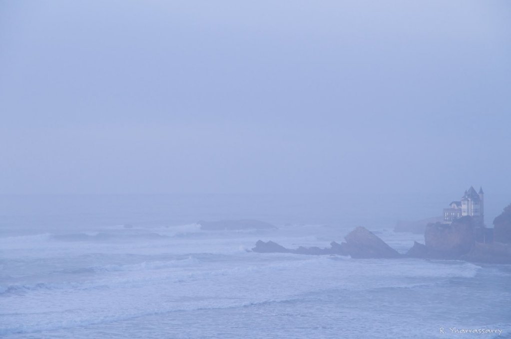 L10100291.jpg