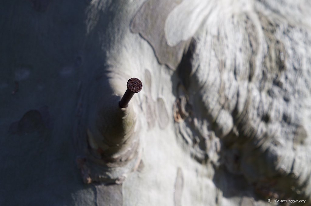 L10100481.jpg