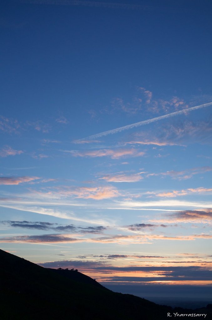 L1010352.jpg