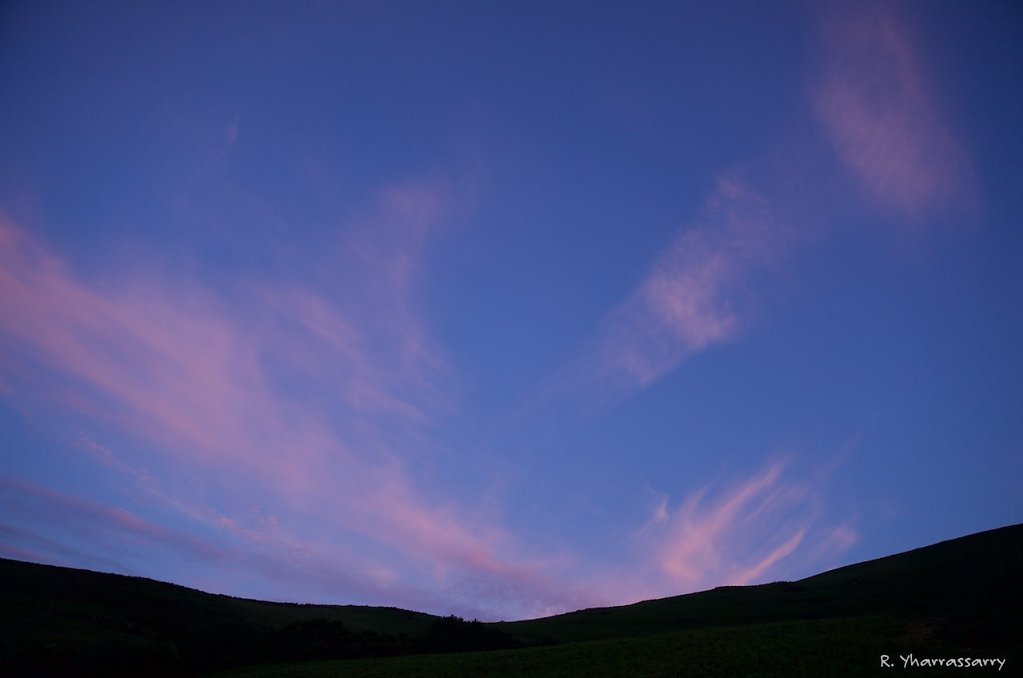 L1010373.jpg