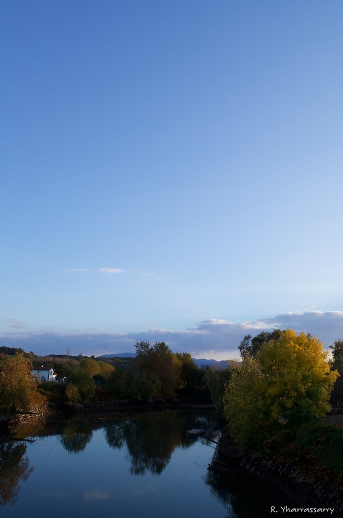 L1020008.jpg