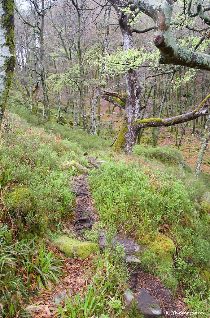 L1030462.jpg