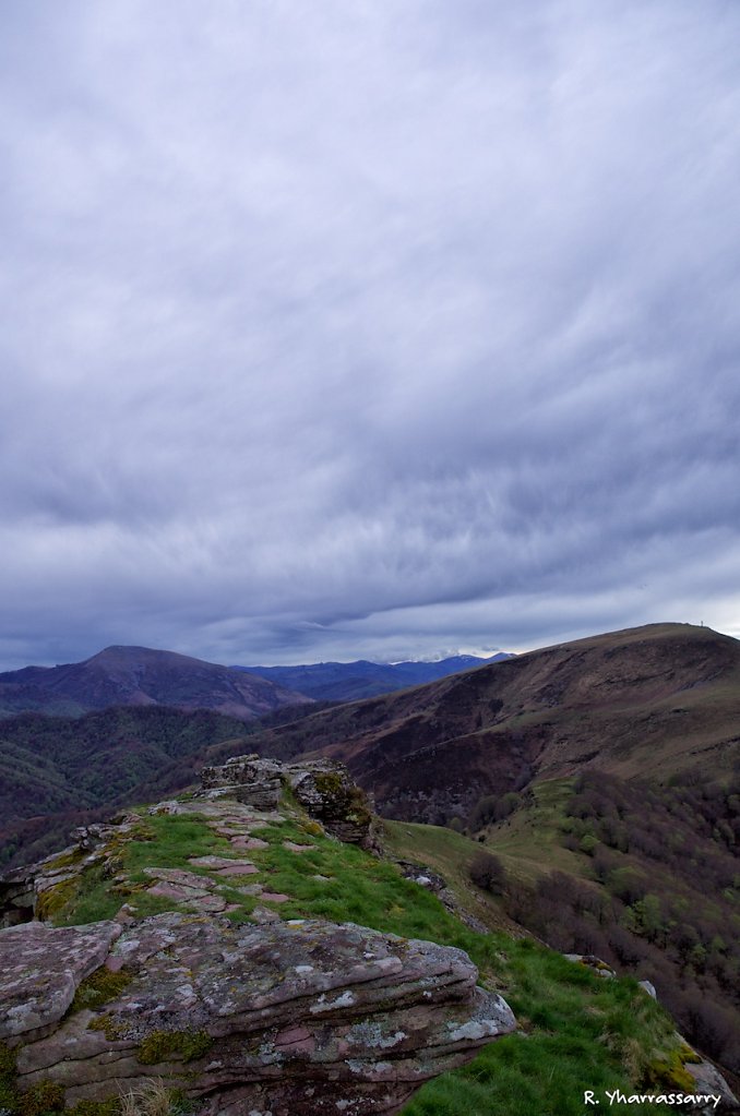 L1030479.jpg